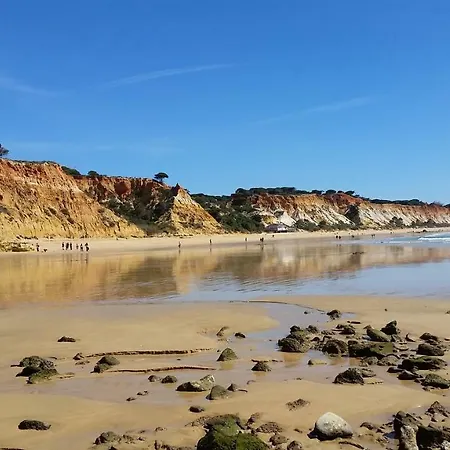 Vista Ondas Olhos De Agua *